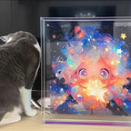 Clear Acrylic Floating Display Case - Showcasing Colorful Art Print with Cat Companion for Home Decor